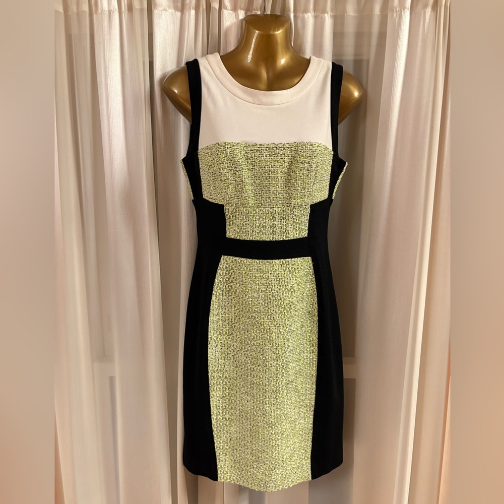 Yoana Baraschi Black, White, and Green Mini Dress